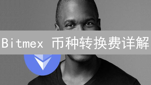 Bitmex 币种转换费详解：如何降低成本，优化交易策略？