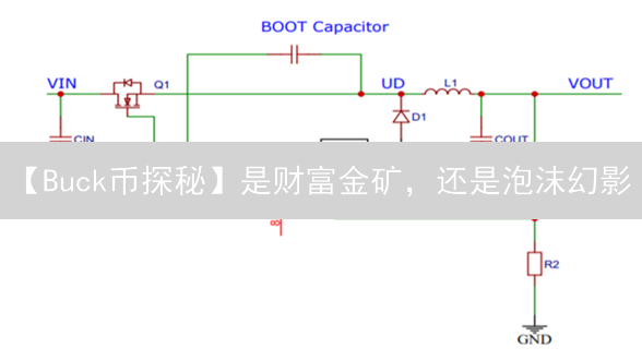 【Buck币探秘】是财富金矿，还是泡沫幻影？深度解读