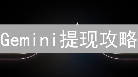 Gemini提现攻略：如何快速、安全地提取你的加密资产？