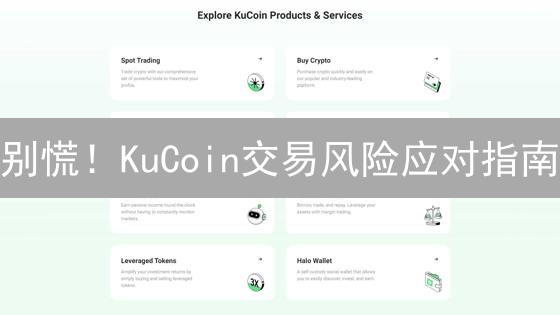 别慌！KuCoin交易风险应对指南：助你稳健盈利！
